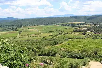 Vue au sud-est, la vallée et ses nombreux vignobles.
