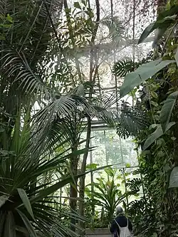Serre tropicale.