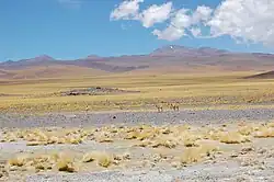 Paysage du Paso de San Francisco, entre Fiambalá et le Paso de San Francisco.