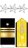 US Navy O9 insignia