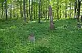 Vue du cimetière avec des tombes dont les croix ont été démolies.