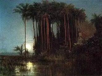 Marais en Équateur (1858), collection particulière