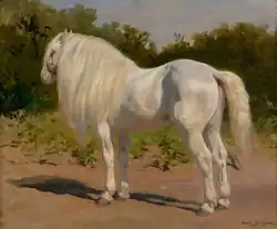 Un cheval de trait breton gris, peinture de Rosa Bonheur