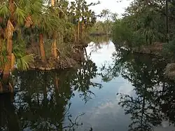 Bayou de la métairie en Louisiane.