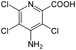 Image illustrative de l’article Piclorame