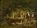 Petite mare en forêt