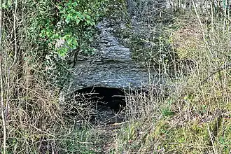Entrée de la grotte de l'Ours, près des Charrières, dite grotte de Chenecey.