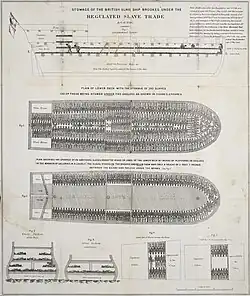 Plan du navire esclavagiste le Brookes qui montre l'extrême surpopulation dont étaient victimes les esclaves du commerce transatlantique