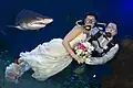 Mariage sous l'eau à l'aquarium.