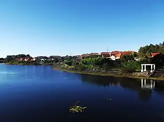 Robina