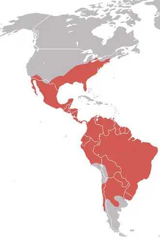 Description de l'image AmericanBlackVultureMap.png.