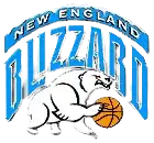 Logo du Blizzard de la Nouvelle-Angleterre