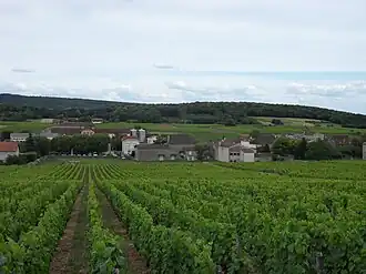 Saint-Gengoux-de-Scissé