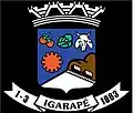 Image illustrative de l’article Igarapé
