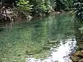 Rivière