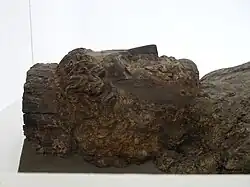 Sarcophage en bois avec une tête au centre dont le corps est orienté gauche-droite