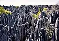 Tsingy de Bemaraha