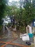 Le chemin de croix.