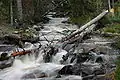 Upper Lehman Creek.