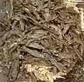 Élevage dans une ferme de Masvingo.