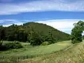 Carbasí.