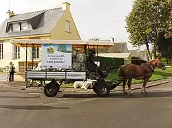 Ramassage des déchets à Questembert, 2013