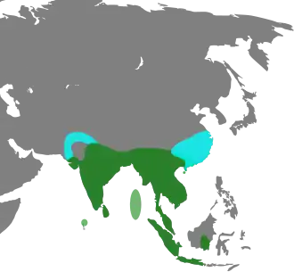 Description de l'image Dendrocygna javanica Map.svg.