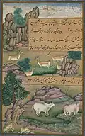 Animaux de l'Hindoustan : petits cerfs et vaches appelées gīnī, du manuscrit enluminé.