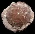 Leifite, Mont Saint-Hilaire, 4 x 3.5 x 2.75&nbsp;cm.