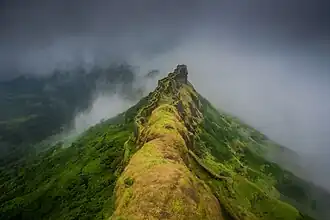District de Pune