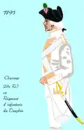 29e&nbsp;régiment d’infanterie de ligne de 1791 à 1796.