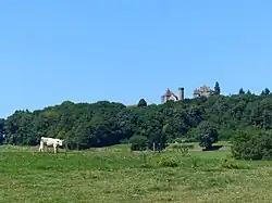 Vue d'ensemble.