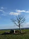 Vue vers le sud-est.