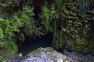 Waitomo