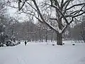 Le parc en hiver (on peut parfois patiner sur le lac, mais de moins en moins souvent avec le réchauffement climatique)