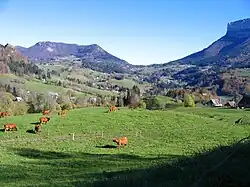 Vallée des Entremonts en Chartreuse