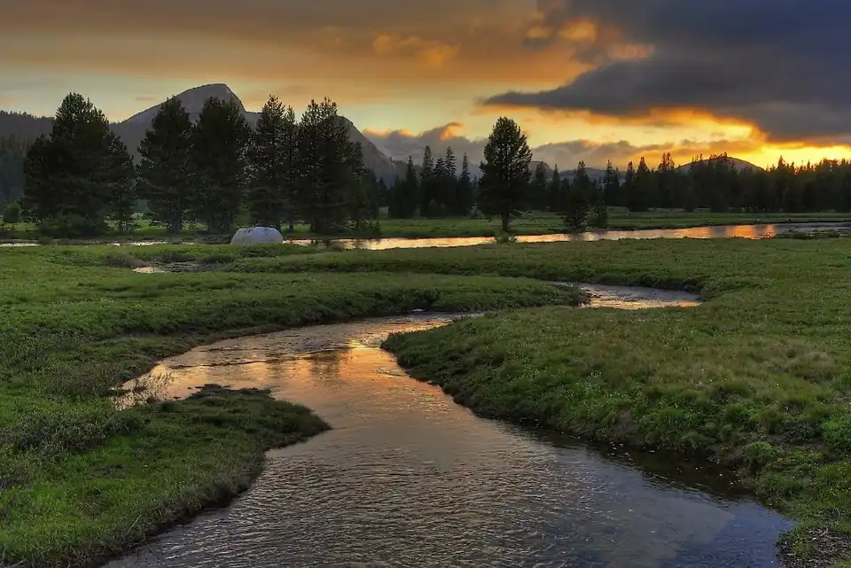Les prairies du Tuolumne (en anglais : Tuolumne Meadows).
