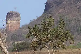 Figueirão