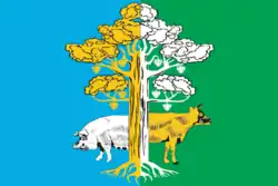 Drapeau de Raïon de Kirovo-Tchepetsk