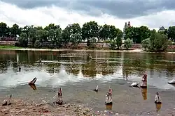 photo de pieux antiques alignés et dépassant de l'eau