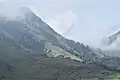 Réserve naturelle de la montagne Nimba dans la chaîne de Nimba, qui est une chaîne de montagnes dans les hauts plateaux de Guinée