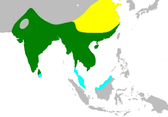 Description de l'image BlackDrongoMap.svg.