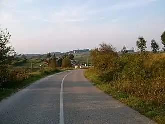 Goleši