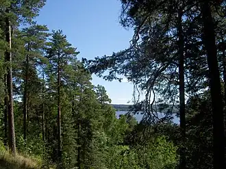Pyynikinharju