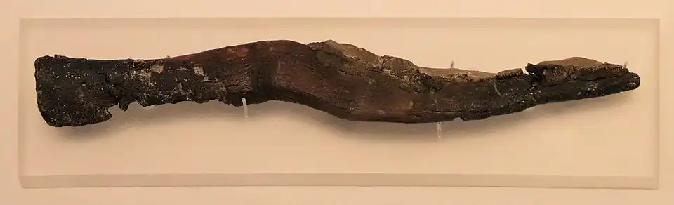 Faucille avec trois lames en silex fixées avec le résine, provenant de Nahal Hemar (he) (Israël), PPNB.