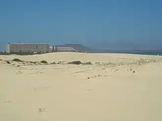 La Oliva