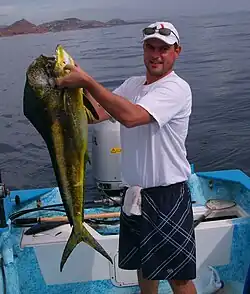 Dorado pêché au vif (bonite) au Cabo San Jose, Baja California Sur, Mexico (2007)