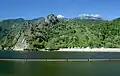 Montagnes Cozia et rivière Olt