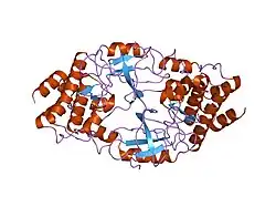 Image illustrative de l’article Tyrosine-kinase de Bruton