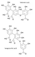 Structures des acides sanguisorbique et valonéique.